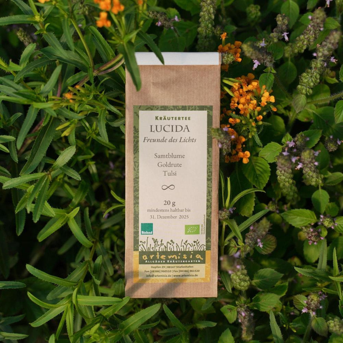 Allgäuer Kräutertee - Lucida - Freunde des Lichts